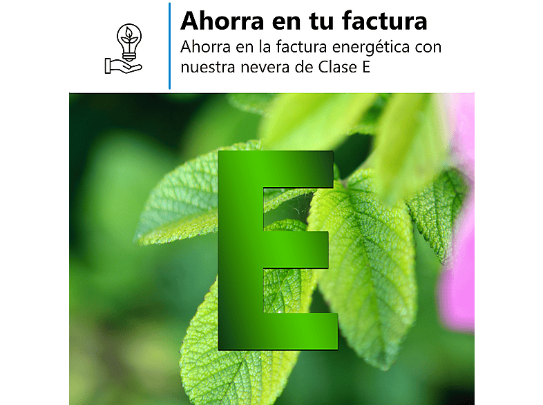 Frigorífico dos puertas MIDEA en color Blanco, Total No Frost — foto 12